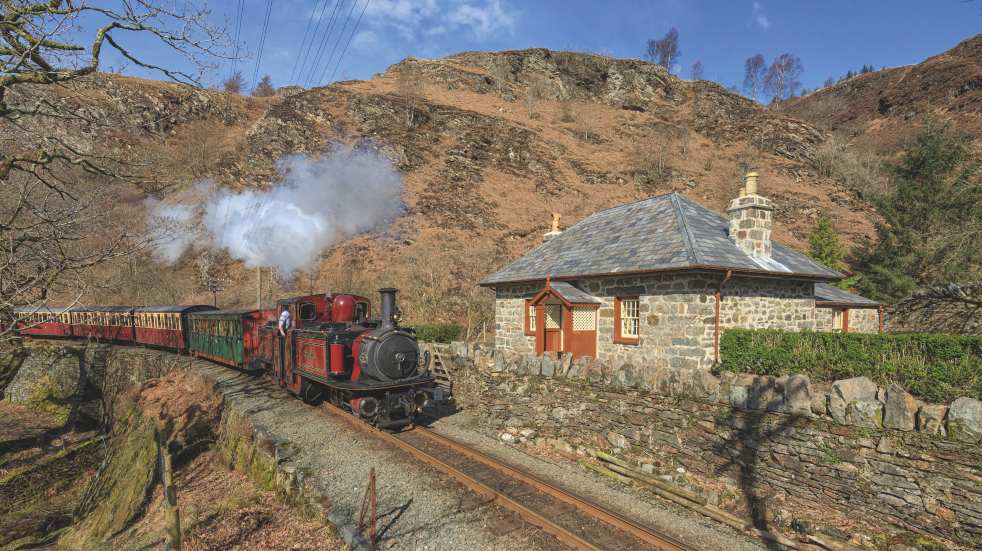 coed y bleiddiau in snowdonia